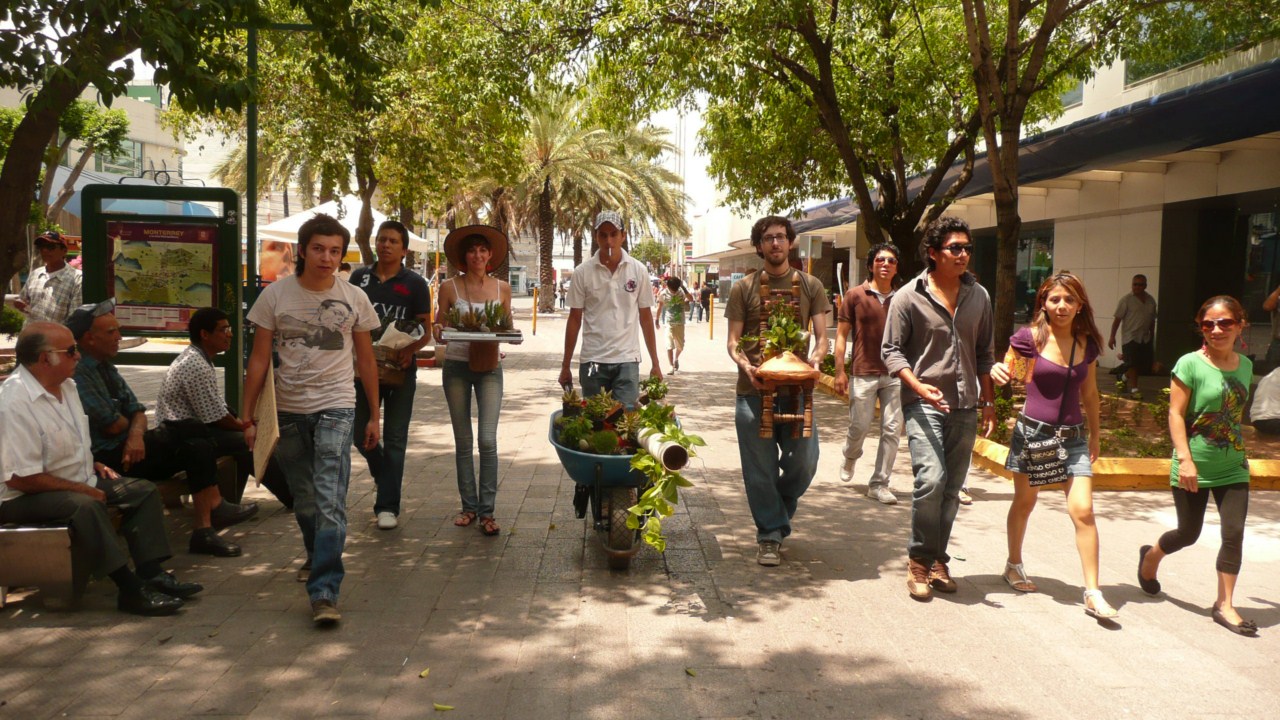 Jardinería de Guerrilla Maria Fernanda 4